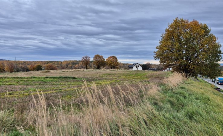 działka na sprzedaż - Mszana