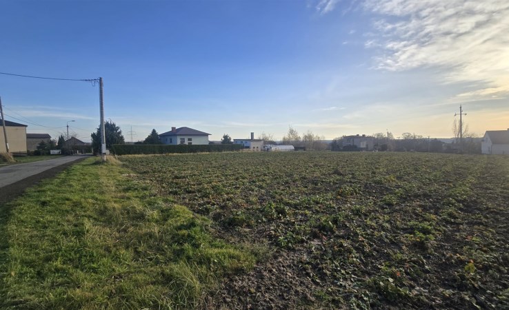 działka na sprzedaż - Wodzisław Śląski, Jedłownik